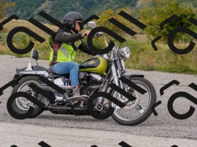 202509141250-DSC_2786_c4_