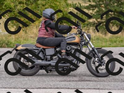 202509141250-DSC_2790_c4_