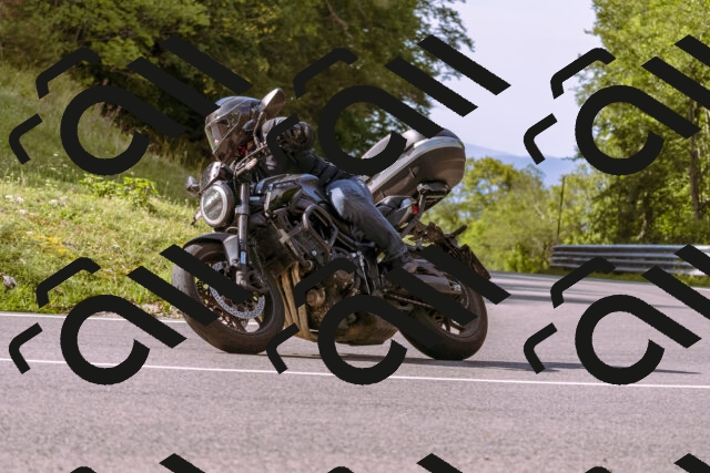 202509141030-_DSC0181_d1_