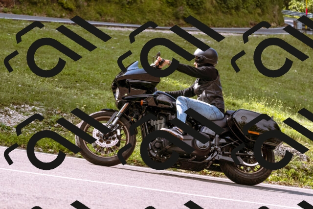 202509141033-_DSC0194_d1_