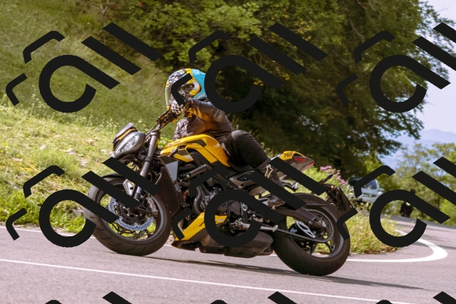 202509141037-_DSC0205_d1_