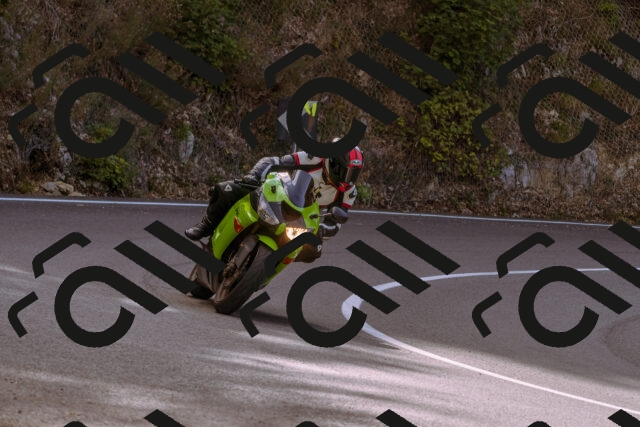 202509141037-_DSC0213_d1_