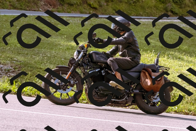 202509141043-_DSC0224_d1_