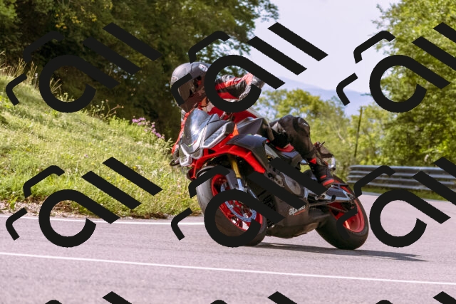 202509141044-_DSC0229_d1_