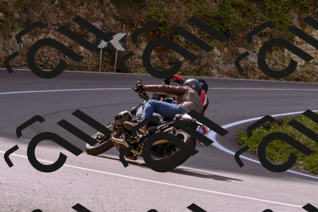 202509141044-_DSC0233_d1_