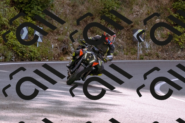 202509141045-_DSC0236_d1_