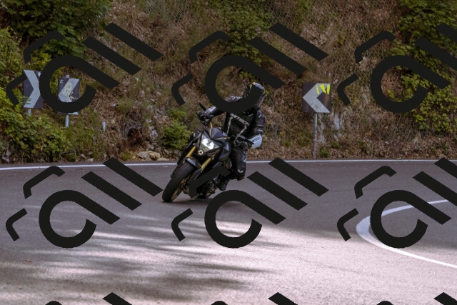 202509141045-_DSC0239_d1_