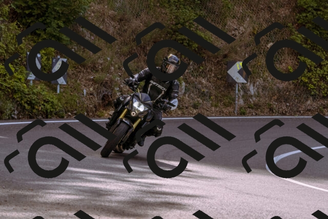 202509141045-_DSC0240_d1_