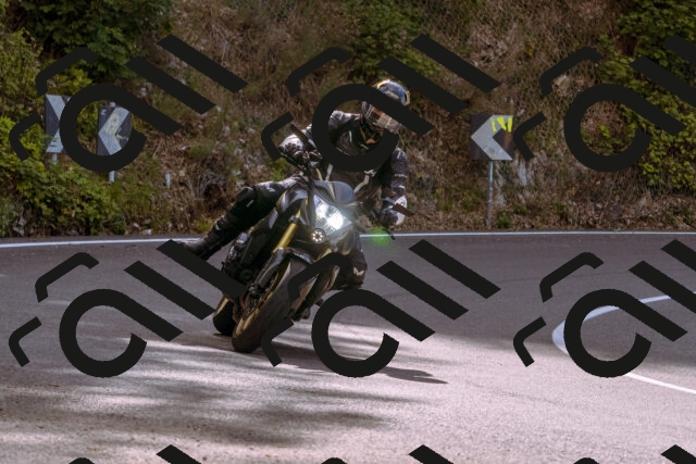 202509141045-_DSC0241_d1_