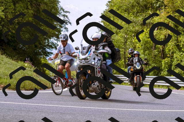 202509141047-_DSC0246_d1_