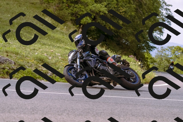 202509141051-_DSC0260_d1_