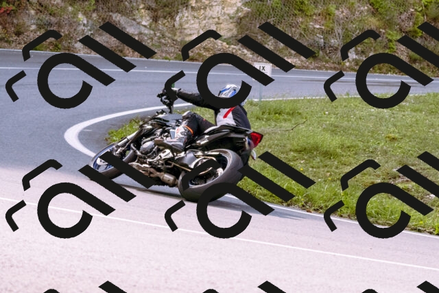 202509141051-_DSC0263_d1_