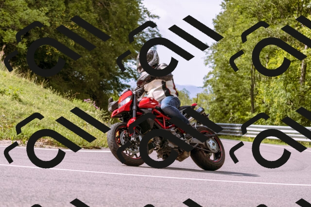 202509141054-_DSC0290_d1_