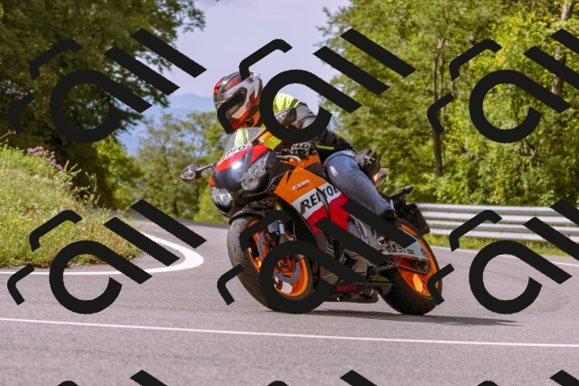 202509141056-_DSC0294_d1_