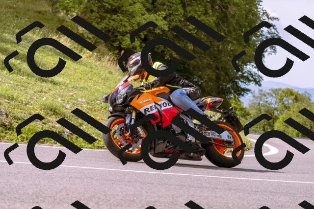 202509141056-_DSC0295_d1_