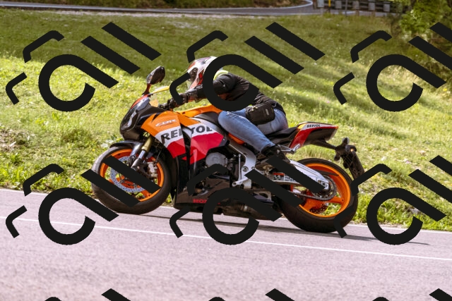 202509141056-_DSC0296_d1_