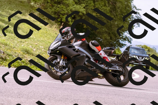 202509141057-_DSC0302_d1_