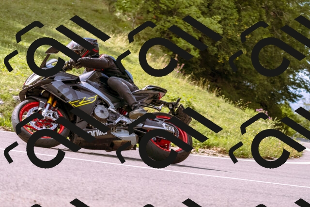 202509141057-_DSC0304_d1_