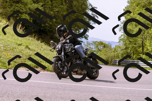 202509141058-_DSC0307_d1_