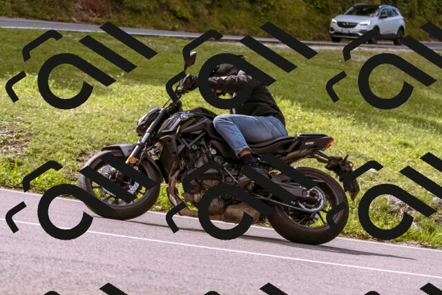 202509141058-_DSC0309_d1_