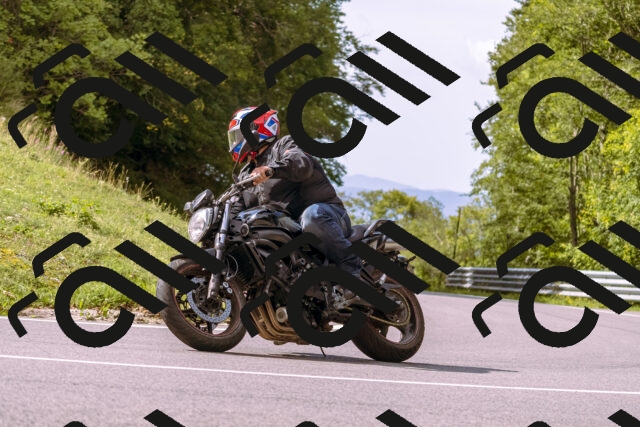 202509141059-_DSC0311_d1_