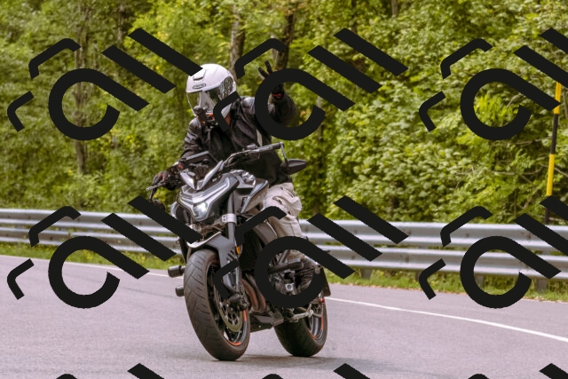 202509141200-_DSC0751_d1_