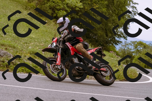 202509141201-_DSC0757_d1_