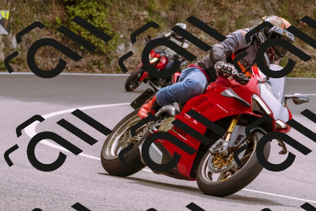 202509141201-_DSC0765_d1_