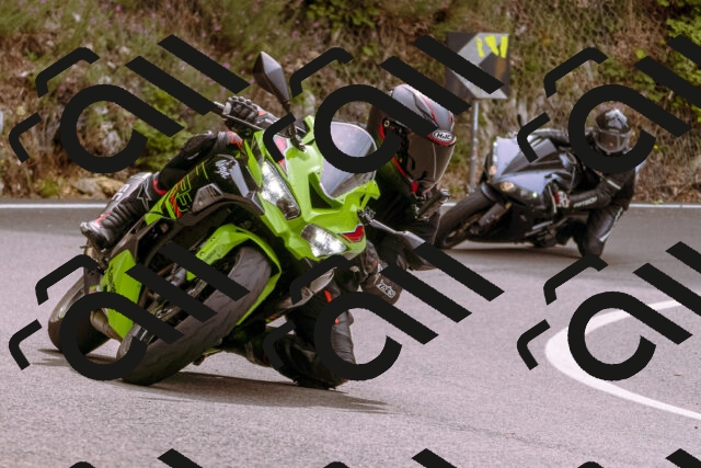 202509141202-_DSC0774_d1_