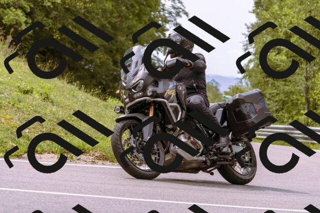 202509141210-_DSC0812_d1_