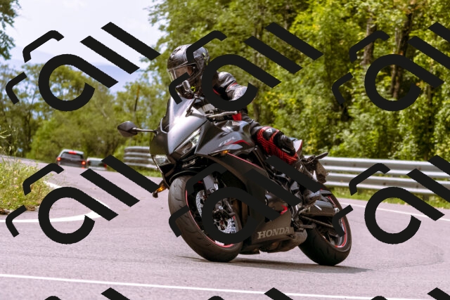 202509141210-_DSC0816_d1_