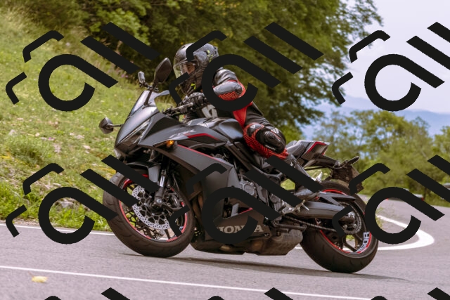 202509141210-_DSC0817_d1_