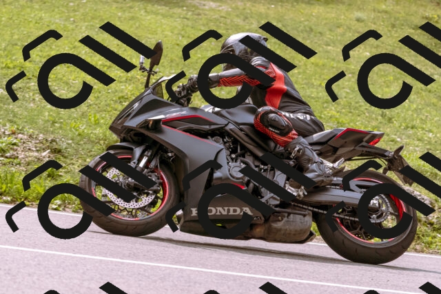 202509141210-_DSC0818_d1_