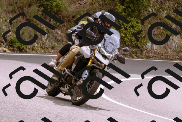 202509141211-_DSC0821_d1_