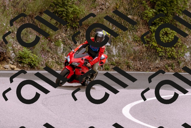 202509141214-_DSC0855_d1_