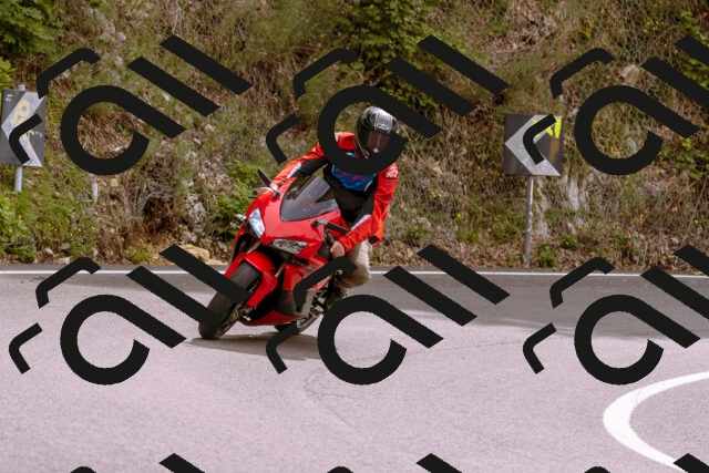 202509141214-_DSC0856_d1_