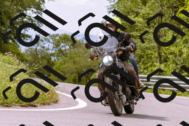 202509141217-_DSC0868_d1_