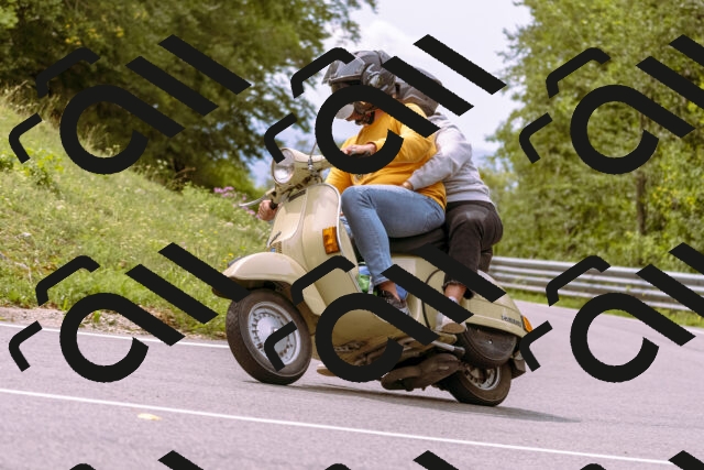 202509141218-_DSC0878_d1_