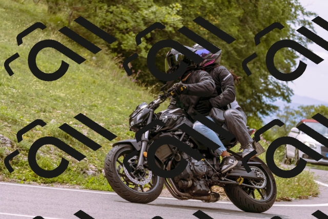 202509141219-_DSC0885_d1_