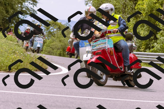 202509141220-_DSC0899_d1_