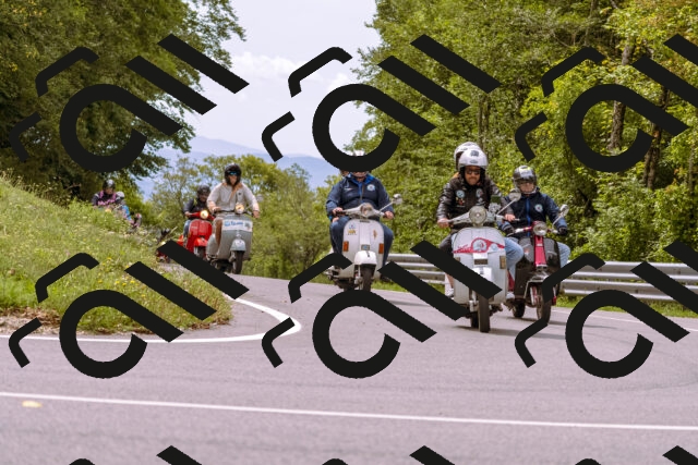 202509141220-_DSC0919_d1_