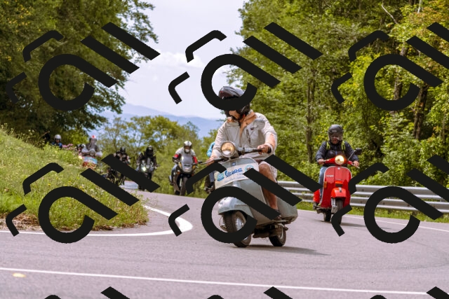 202509141220-_DSC0922_d1_