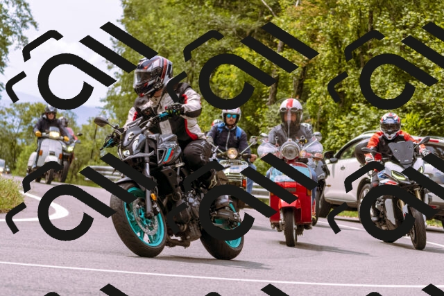 202509141220-_DSC0928_d1_