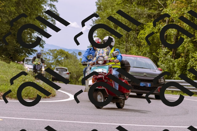 202509141220-_DSC0938_d1_