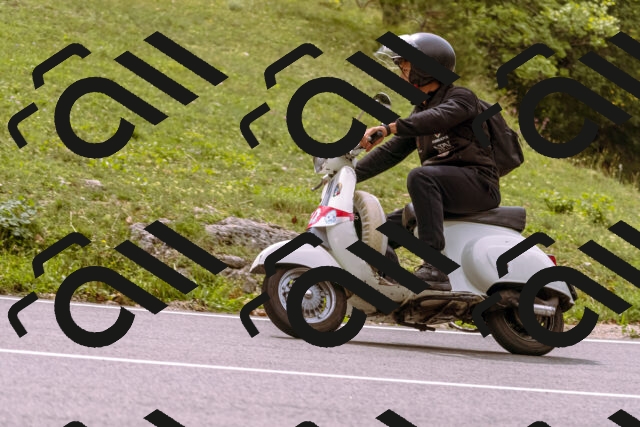 202509141221-_DSC0946_d1_