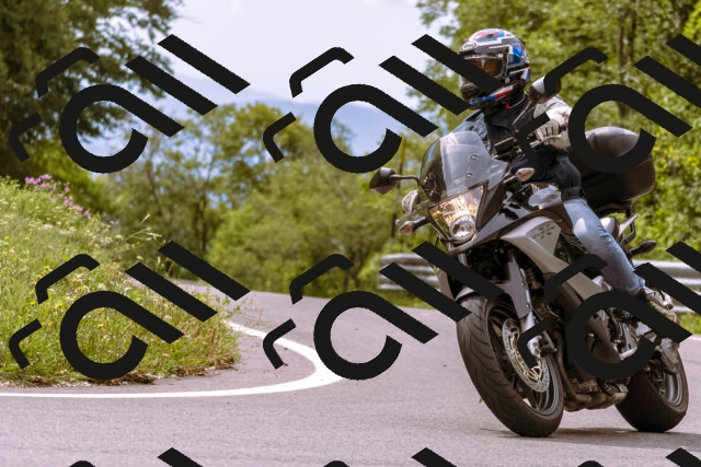 202509141221-_DSC0949_d1_