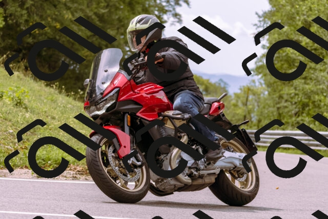 202509141221-_DSC0951_d1_