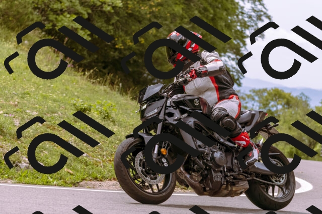 202509141221-_DSC0960_d1_