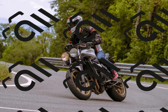 202509141227-_DSC1003_d1_