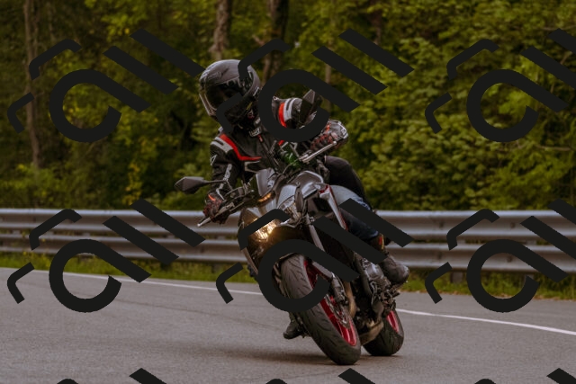 202509141233-_DSC1017_d1_